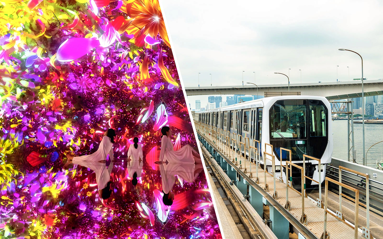 Combo: teamLab Planets TOKYO Tickets + Tokyo Subway Pass — gallery 1