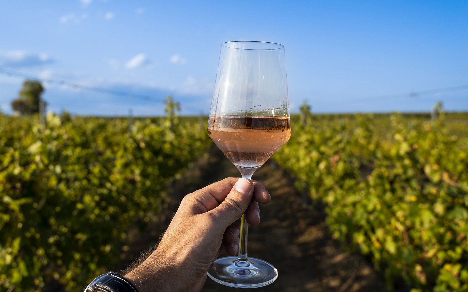 3-Hour Guided E-Bike Tour of Chianti with Wine Tasting — gallery 5