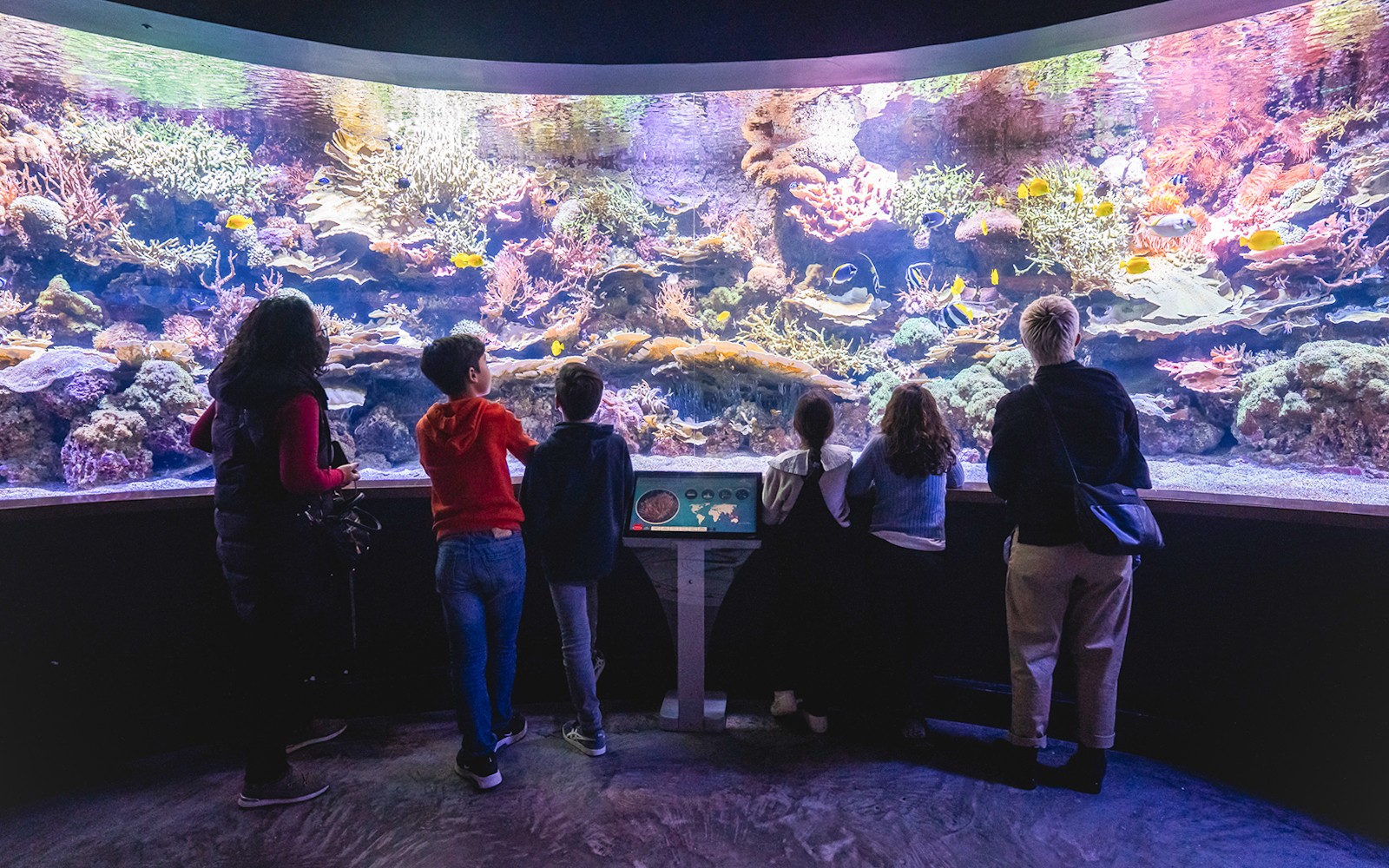 Seville Aquarium Tickets — gallery 1