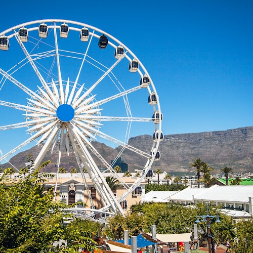Cape Wheel: Fast Track — gallery 2