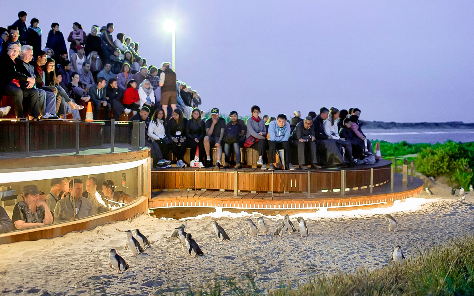 From Melbourne: Brighton Beach, Moonlit Sanctuary & Phillip Island Day Trip with Penguin Parade