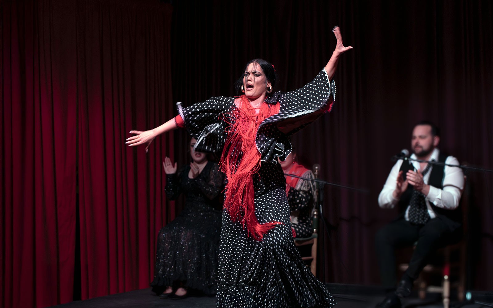 Palau Dalmases - Flamenco Show
