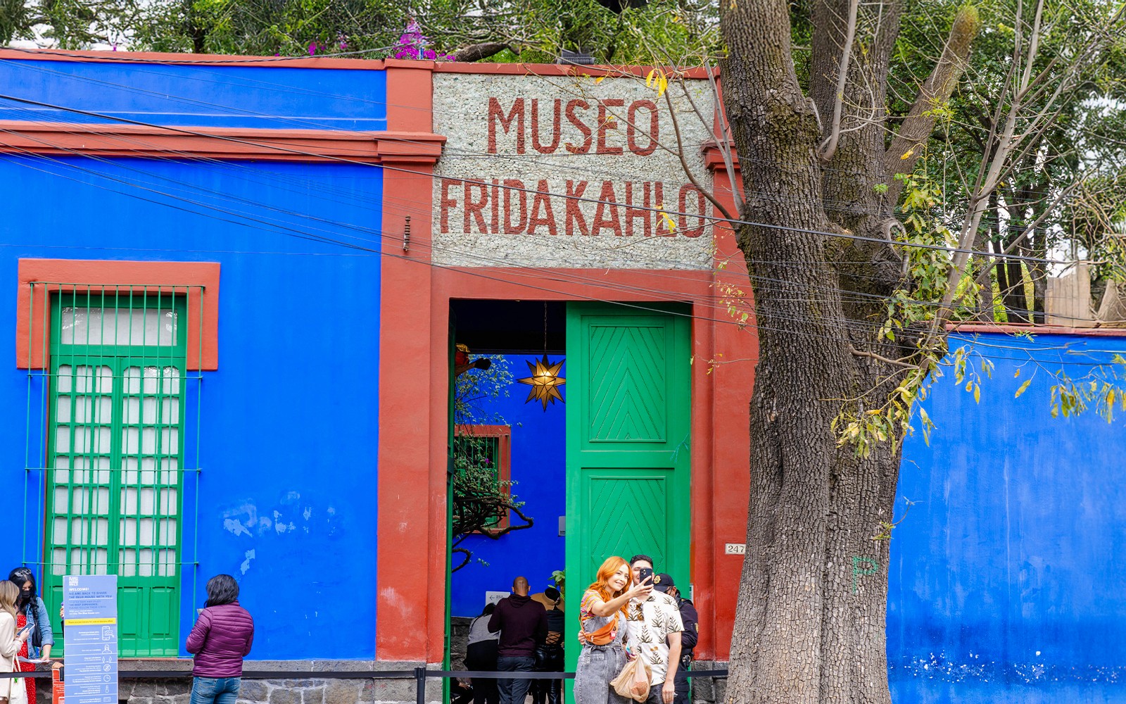 Frida Kahlo & Anahuacalli Museum Skip-the-Line Tickets