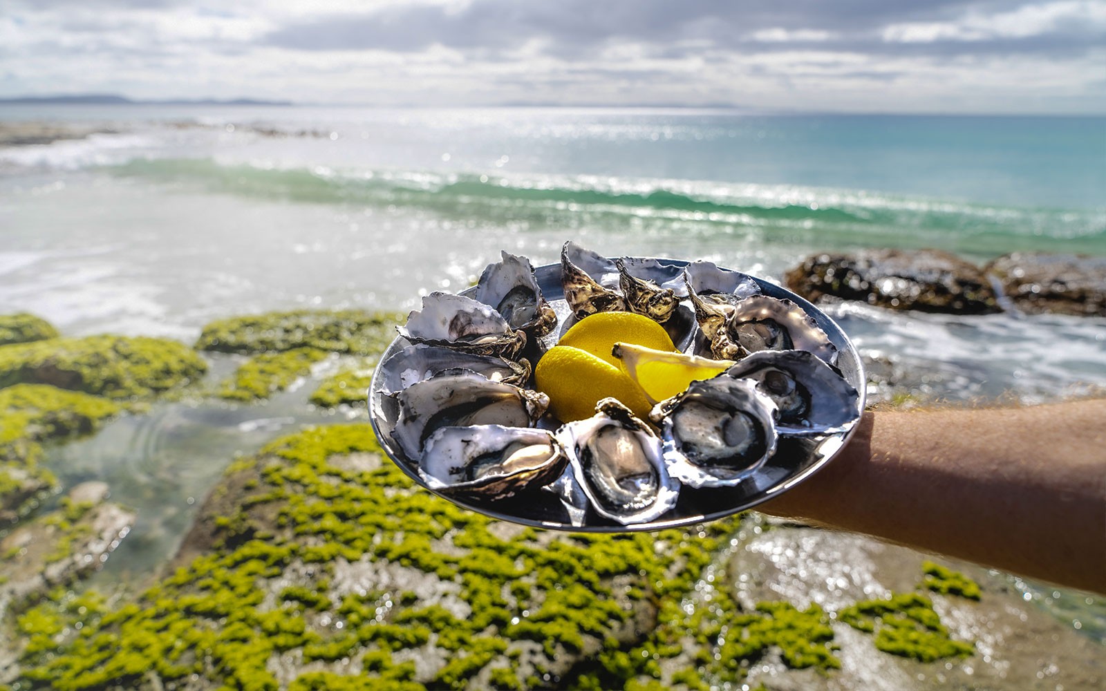 [Headout Exclusive 10% Off] From Hobart: Bruny Island Full-Day Guided Tour + Lighthouse, Lunch & Local Tastings