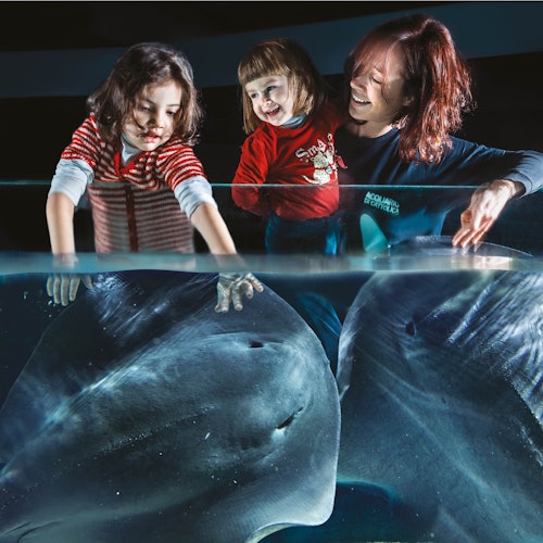 Акваріум Каттоліки: квиток зі швидким доступом — gallery 1