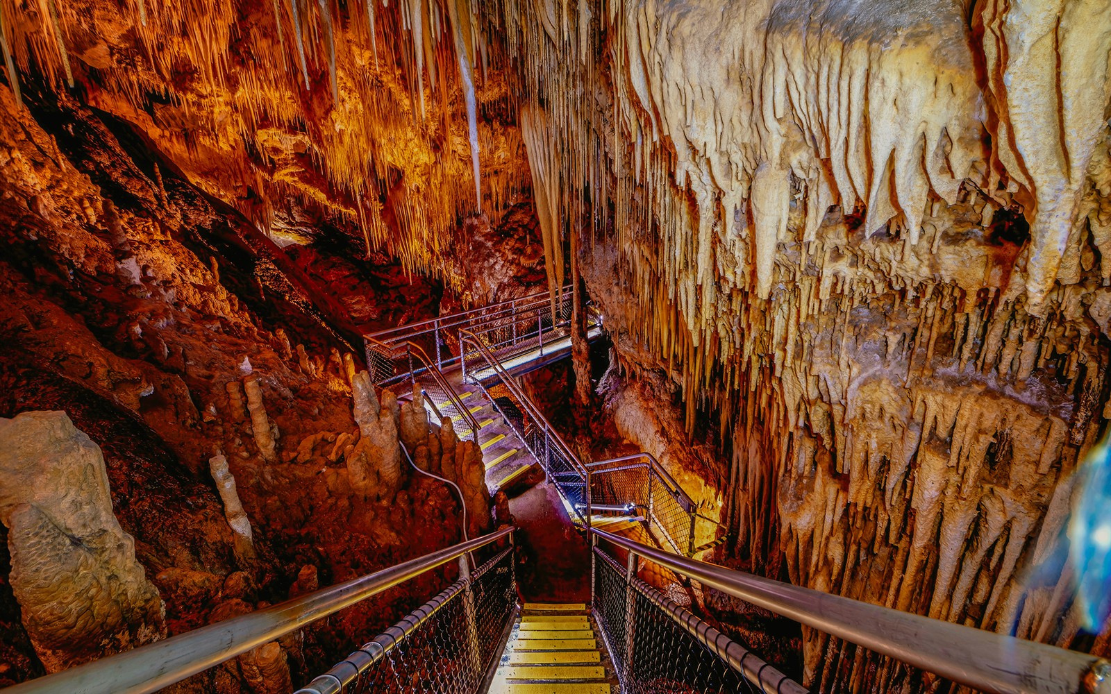 Full-Day Guided Tour of Tahune Airwalk & Hastings Caves