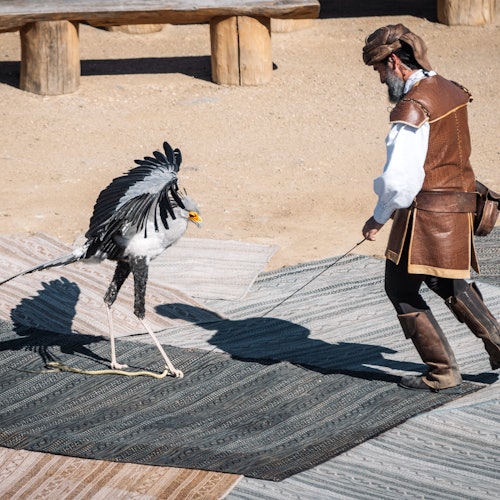 Puy du Fou España: Park Entrance + El Sueño de Toledo Night Show