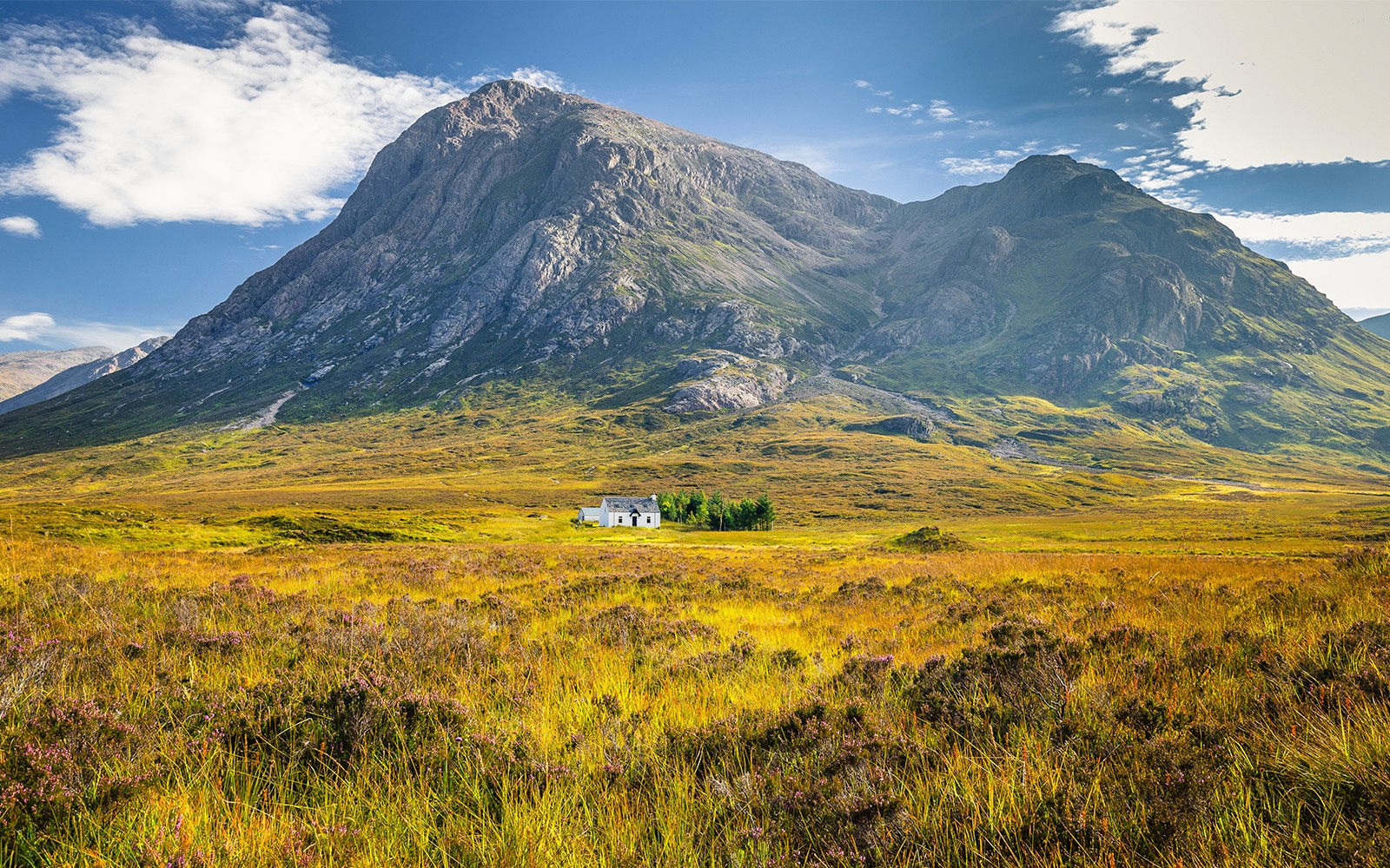 From Edinburgh: Glenfinnan, Glencoe & Fort William Day Trip — portrait
