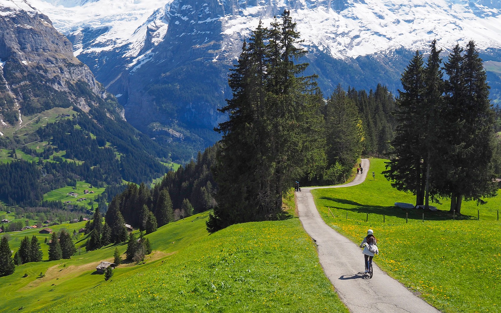 From Zürich: Grindelwald, Interlaken & Lauterbrunnen Day Trip