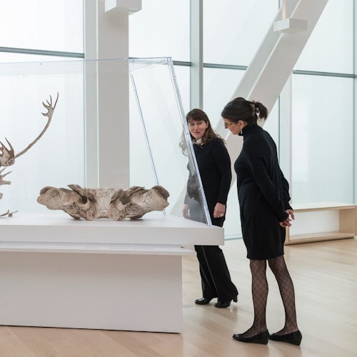 Musée National des Beaux-Arts du Québec (MNBAQ): General Admission — gallery 1