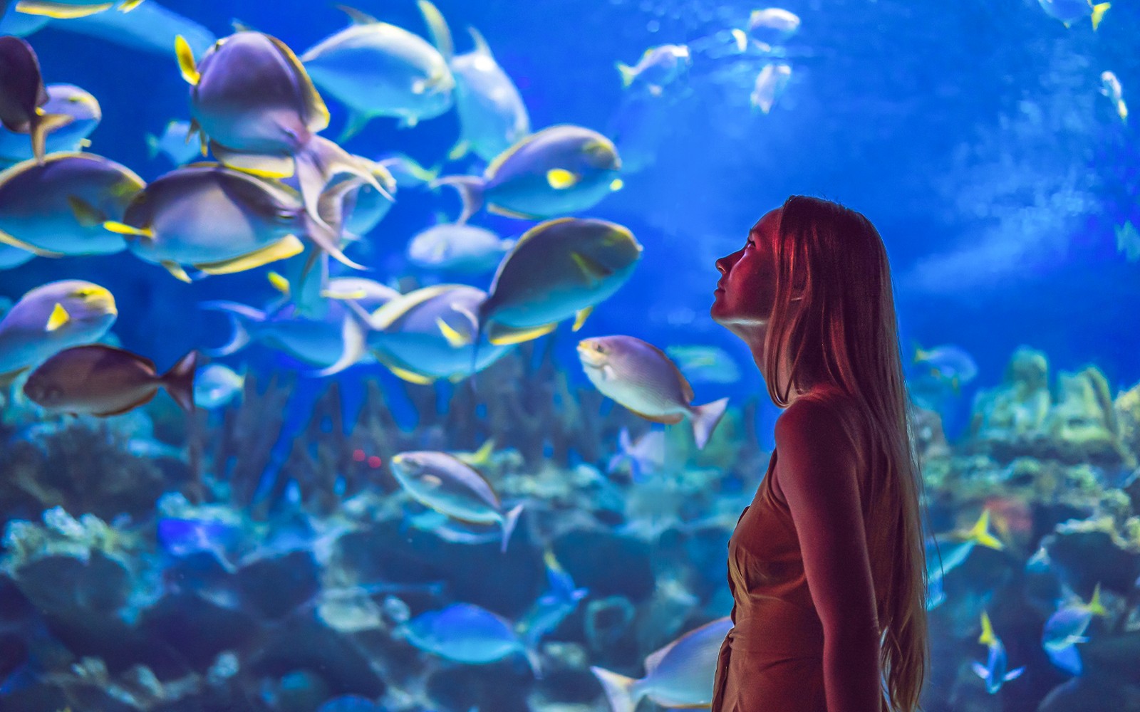Aquarium of the Pacific Skip-the-Line Tickets