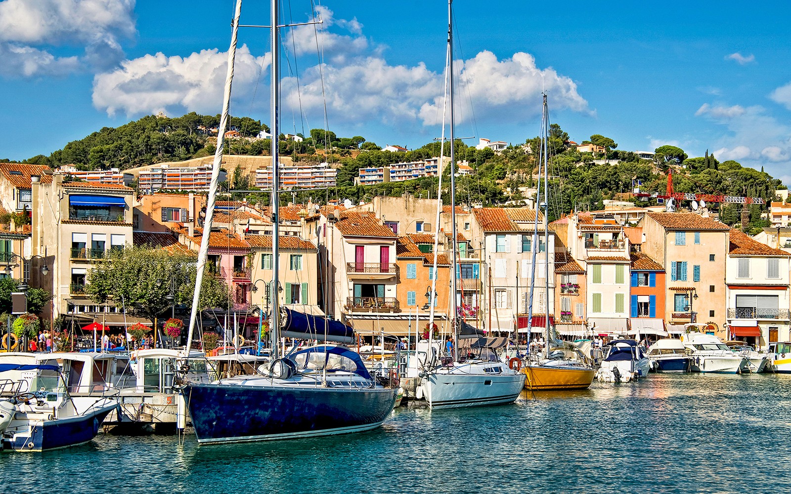 From Marseille: Full-Day Wine Tasting Tour of Bandol & Cassis — gallery 2