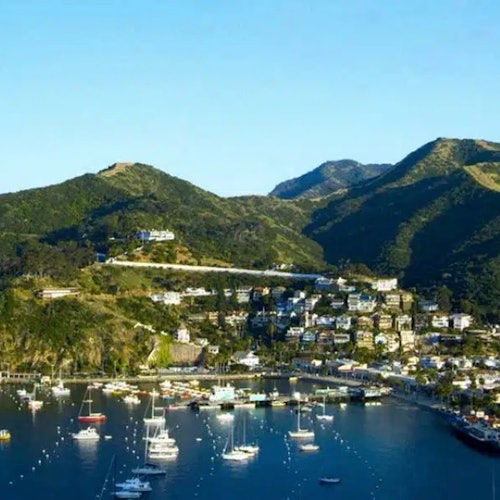 Catalina Island: Day Trip + Scenic Driving Tour — gallery 3