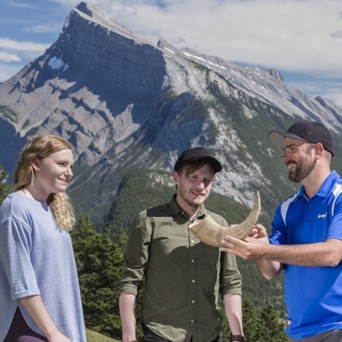 Banff National Park: Small Group Guided Tour + Gondola Entry