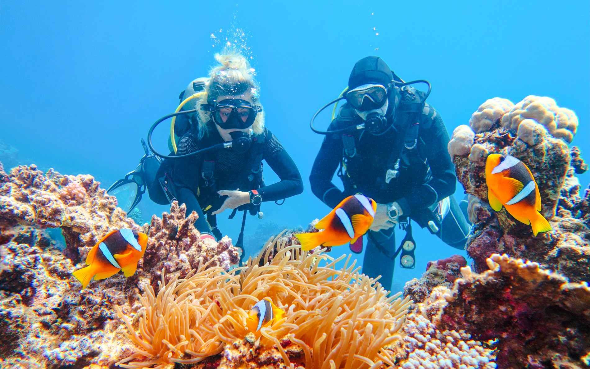From Sharm El-Sheikh: Diving at Ras Mohamed & White Island with Round-Trip Hotel Transfers — gallery 1