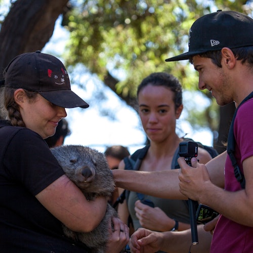 Mt. Field, Bonorong Wildlife Sanctuary & Mt. Wellington: Guided Tour — gallery 1