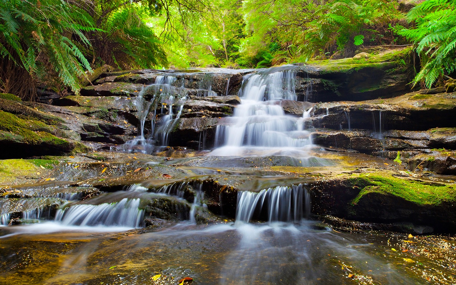 Blue Mountains 3-hour Army Truck Tour — gallery 1