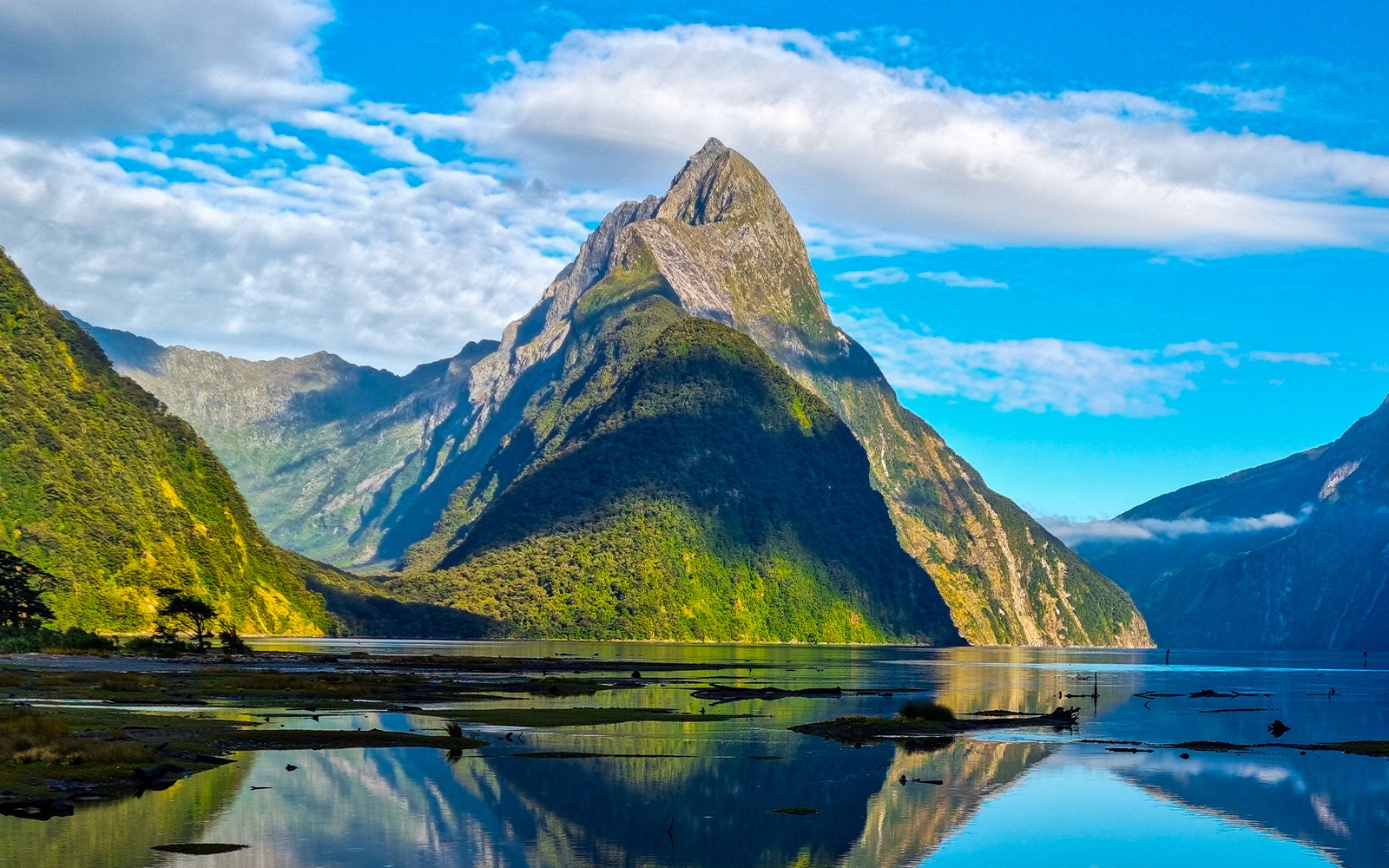 From Queenstown: Milford Sound Premium Small Group Tour with Cruise & Lunch