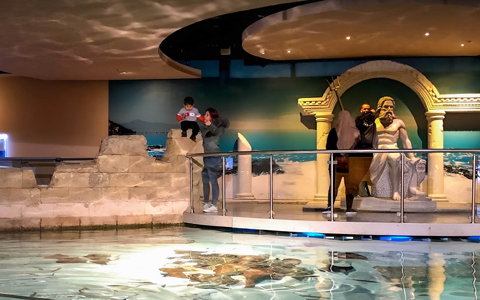 Istanbul Aquarium Tickets with Bus Transfers from Taksim & Sultanahmet — gallery 1