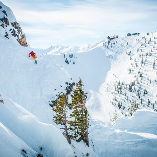 Kicking Horse Mountain Resort: Powder Express Shuttle from Banff + Ski Lift Pass — gallery 2