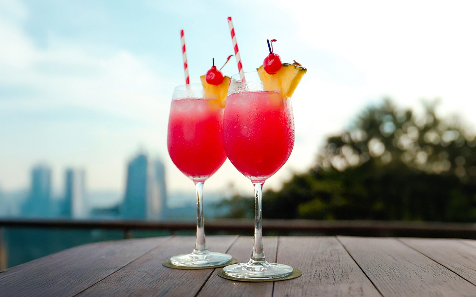 Singapore Cable Car SkyPass with Meals at Arbora Cafe — gallery 3