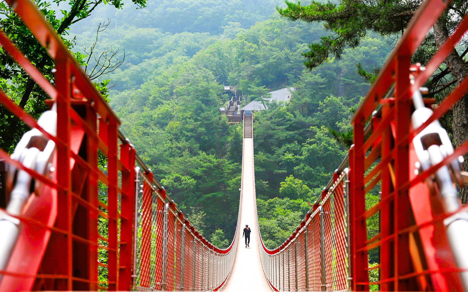 From Seoul: DMZ Day Tour with Mt. Gamaksan Suspension Bridge Visit — gallery 1