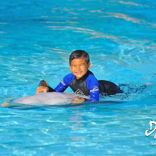 Zoomarine Algarve: Entry Ticket + Dolphin Experience — gallery 3