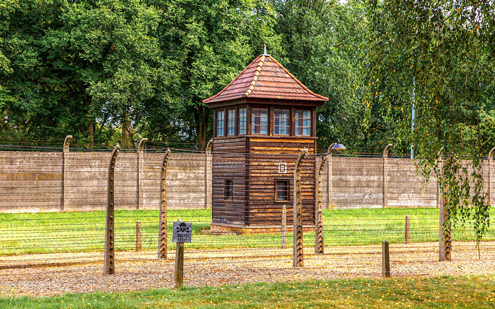 From Krakow: Auschwitz-Birkenau Guided Tour with Transfers — gallery 5