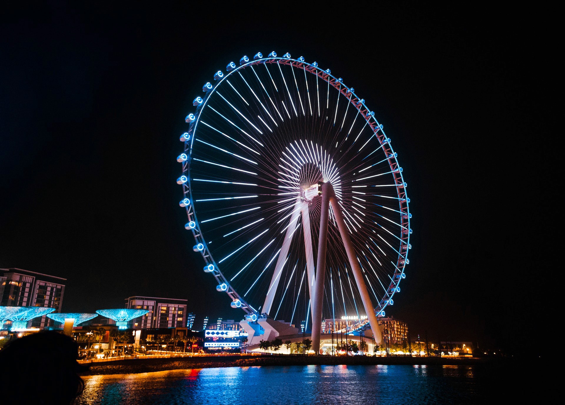 From Dubai Marina: 2-Hour Luxury Dhow Dinner Cruise with 5-Star Dinner, Entertainment & Unlimited Drinks — gallery 1