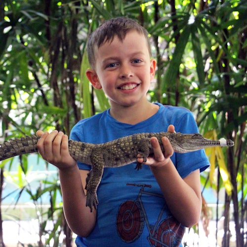 Port Douglas Wildlife Habitat — gallery 4