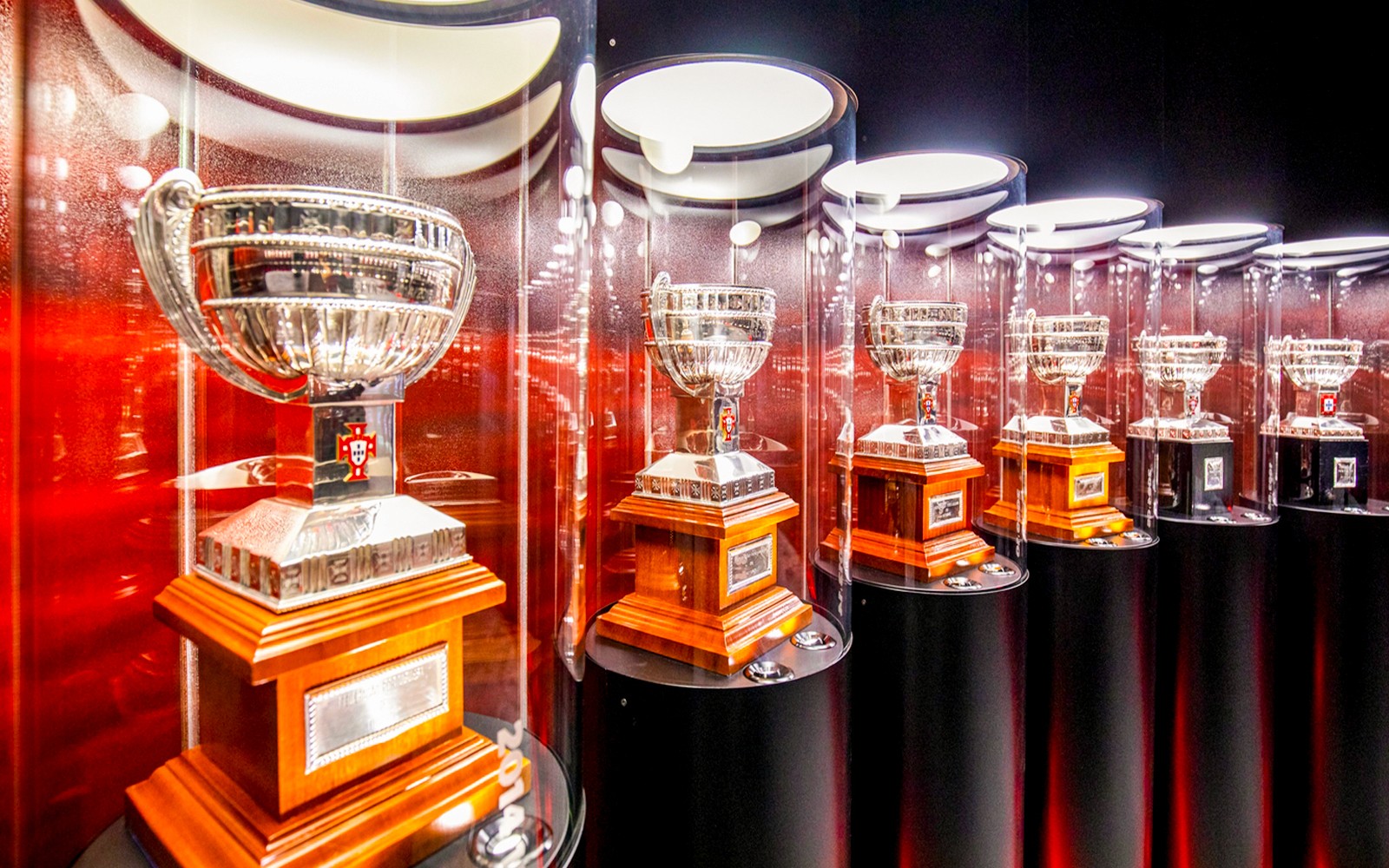 SL Benfica Stadium & Museum Guided Tour with Meal