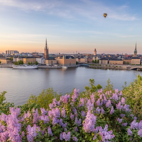 Stockholm: Guided Golden Hour Photo Walk Tour — gallery 1