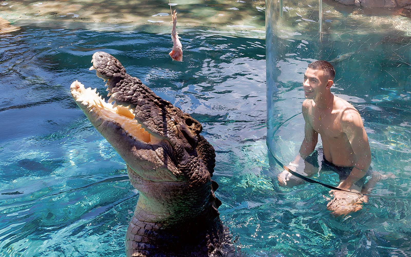 Crocosaurus Cove Tickets with Cage of Death Experience