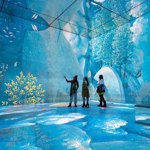 London: Frameless Art Experience, Bar Bus Tour & Hard Rock Cafe Dinner — portrait