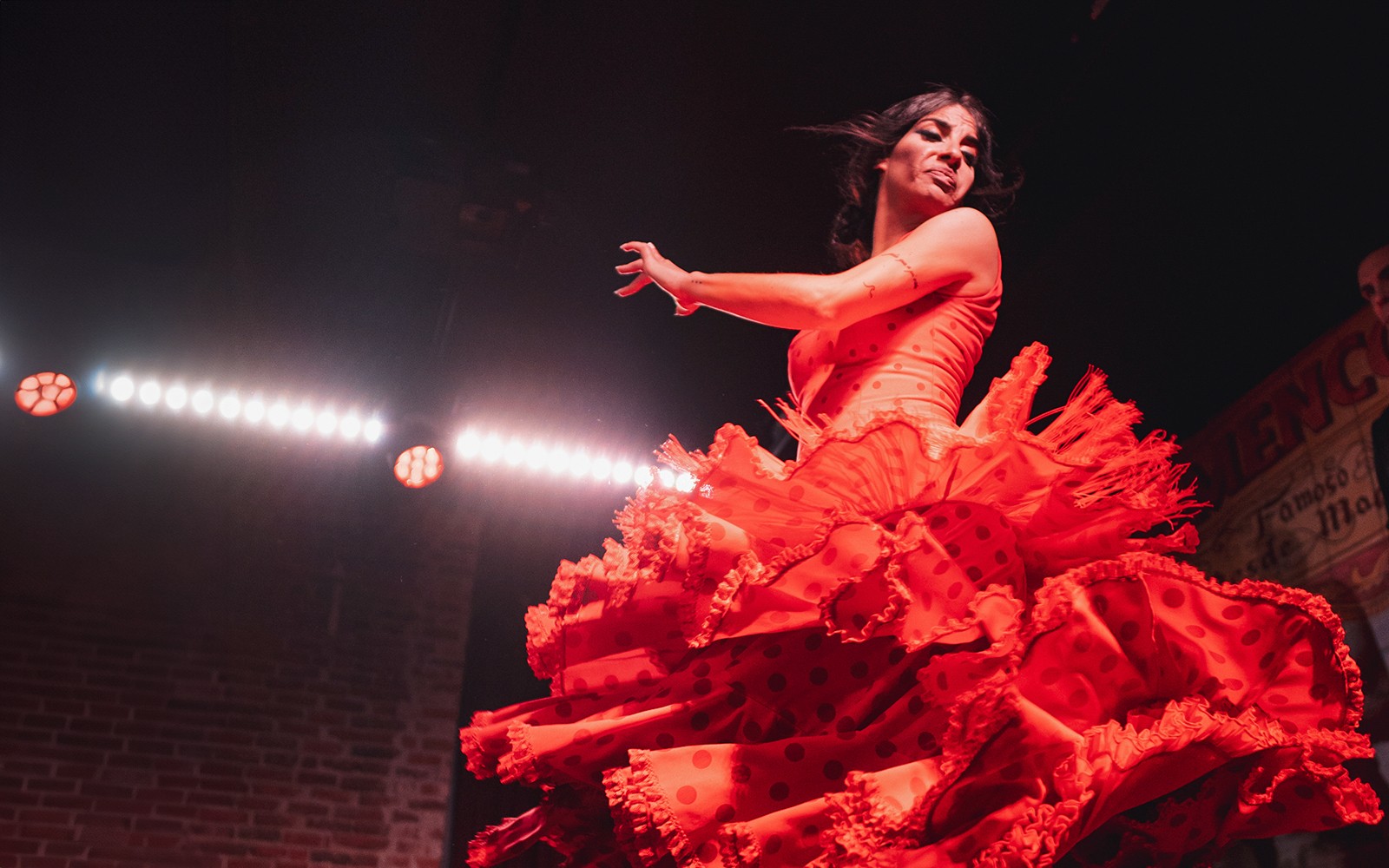 Flamenco De Leones - Flamenco Show