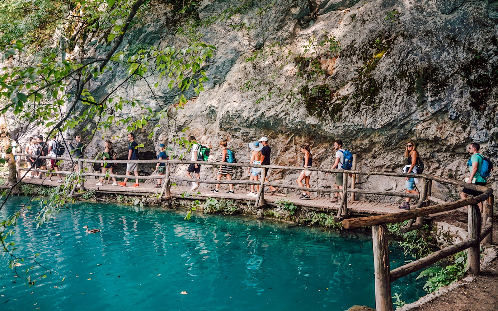 From Split: Full-Day Trip to Plitvice Lakes National Park with Guided Tour Option
