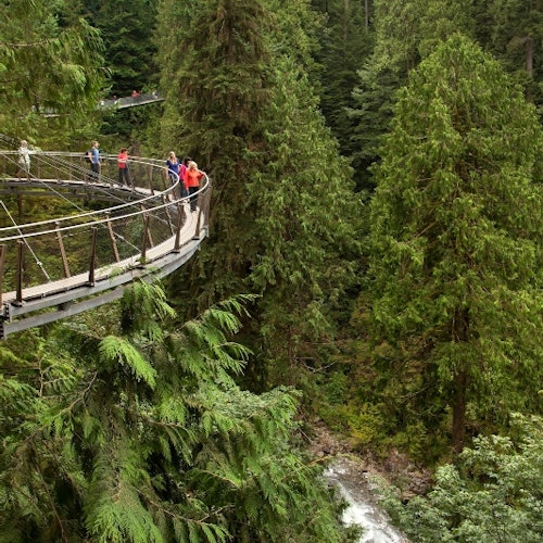 Vancouver: Capilano Suspension Bridge Park & City Tour — gallery 3