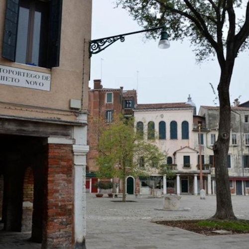 Venice: Private Guided Walking Tour