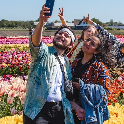 Keukenhof & Tulip Experience: Entry Ticket + Transfer + Coffee or Tea