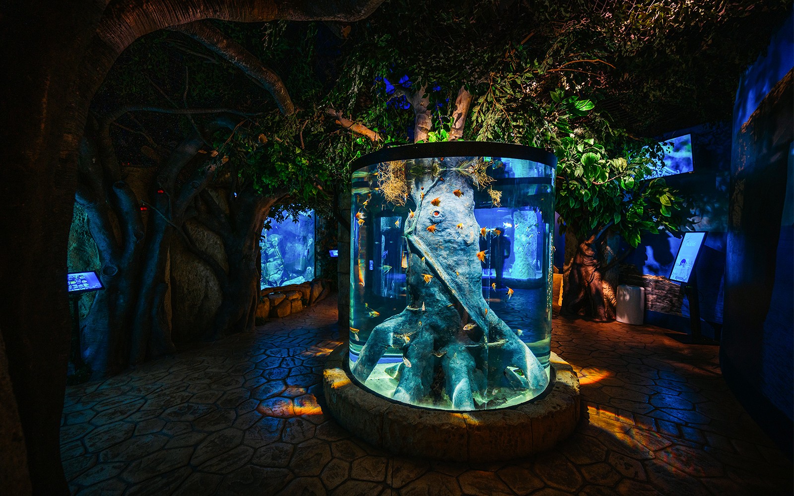 Malta National Aquarium Tickets
