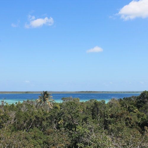 Sian Ka'an Biosphere Reserve & Muyil Ruins: Guided Tour + Boat Ride + Transfer — gallery 1