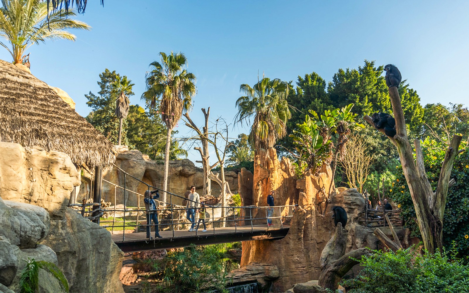 Mga Ticket para sa Bioparc Fuengirola — gallery 2