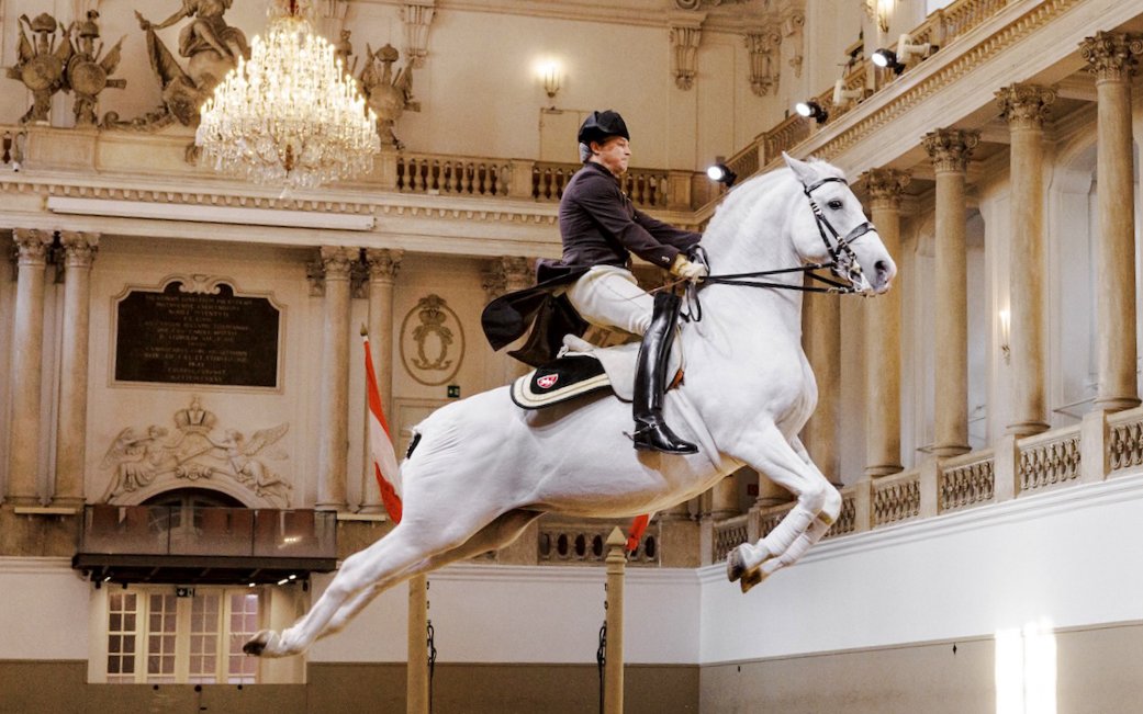 Spanish Riding School Performance of the Lippizans (70 min) — gallery 1
