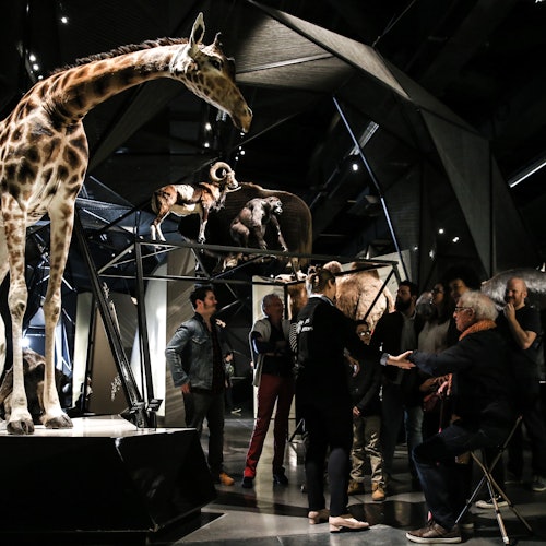 Musée des Confluences: Entry Ticket — gallery 1