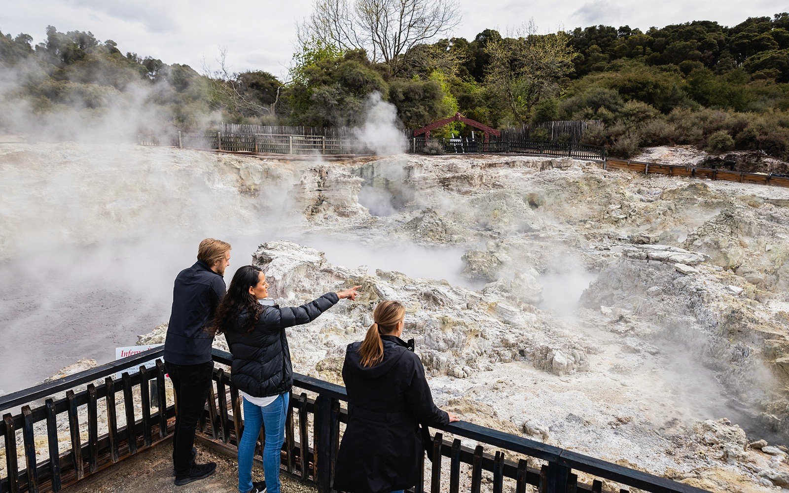 Hell's Gate Geothermal Walk & Māori Carving Tickets