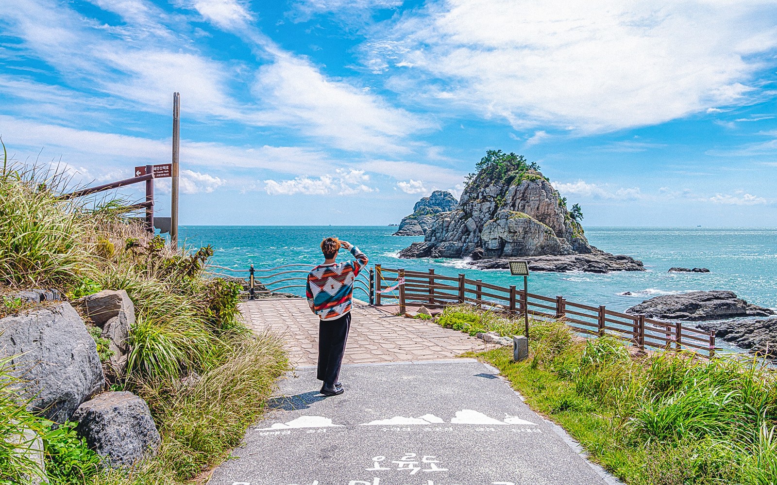 Busan 1-Day City Tour & Blue Line Park Sky Capsule