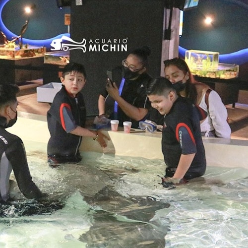 Michin Aquarium Puebla: Entry Ticket — gallery 1