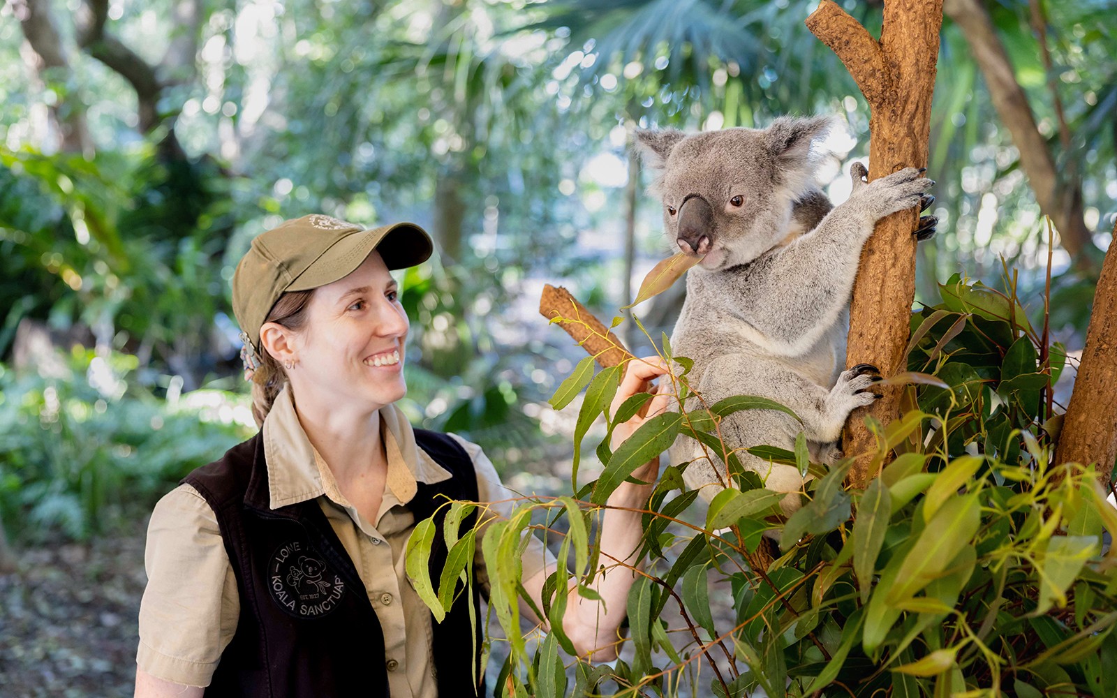 Lone Pine Koala Sanctuary Tickets with Brisbane River Cruise