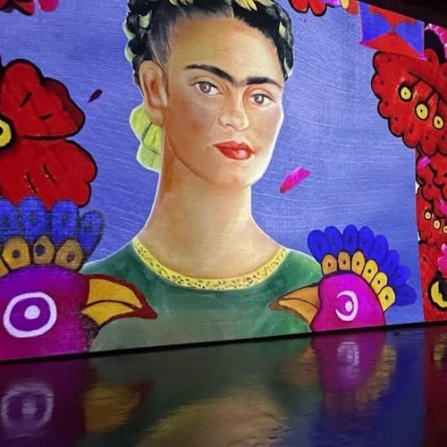 Vincent Hall Budapest: Frida Immersive Exhibition Ticket — gallery 1
