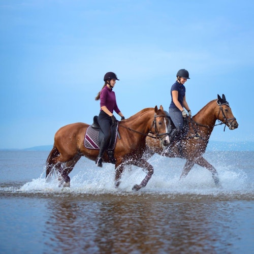 Horse Riding Tour: Sea and Desert with Transfer - Hurghada — gallery 2